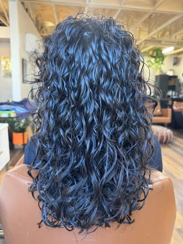 Beauty & The Balayage