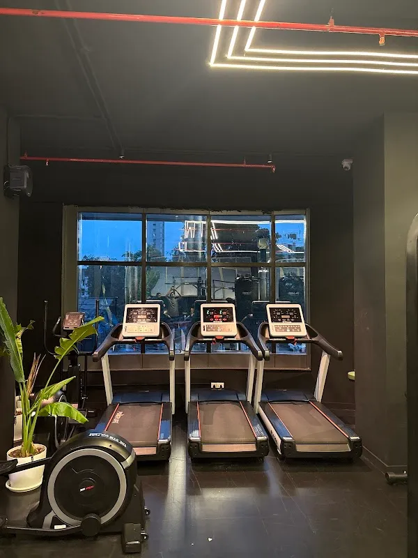 THE GYM CULTURE - Malad
