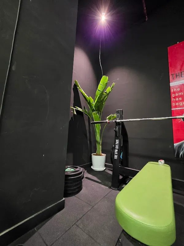 THE GYM CULTURE - Malad