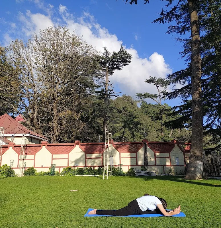 Utkrisht yoga (yoga class in shimla, meditation classes, meditation near me, yoga classes near me, top yoga classes, best yoga classes, yoga instructor, home yoga instructor, yoga and Meditation)