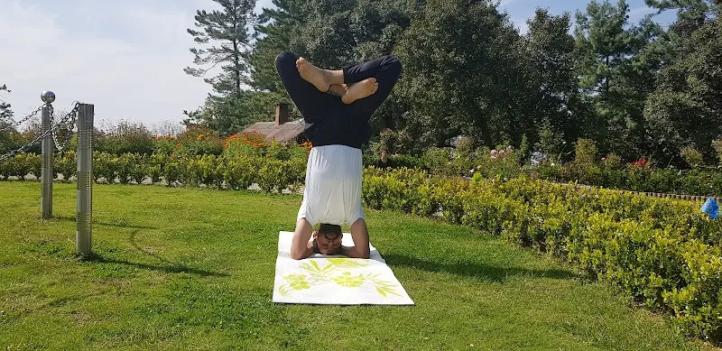 Utkrisht yoga (yoga class in shimla, meditation classes, meditation near me, yoga classes near me, top yoga classes, best yoga classes, yoga instructor, home yoga instructor, yoga and Meditation)