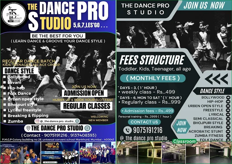 THE DANCE PRO STUDIO