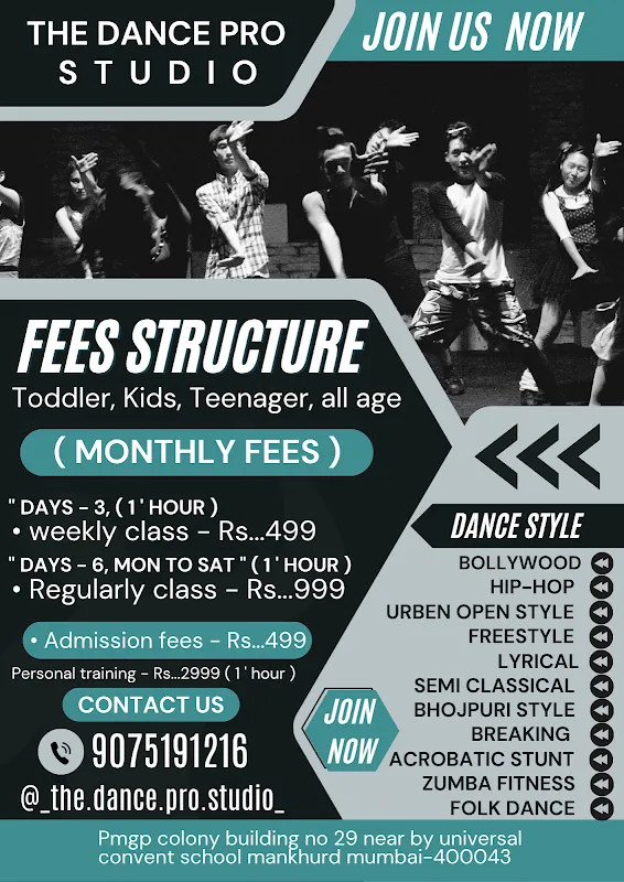 THE DANCE PRO STUDIO