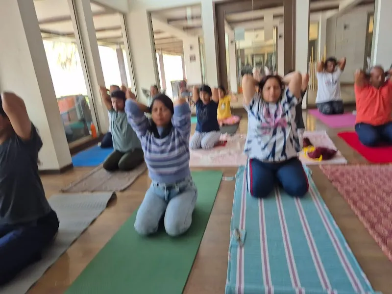 Asmi Yoga and Wellness: Yoga Studio & Classes