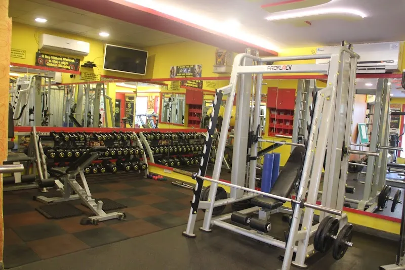 Workout Fitness Studio