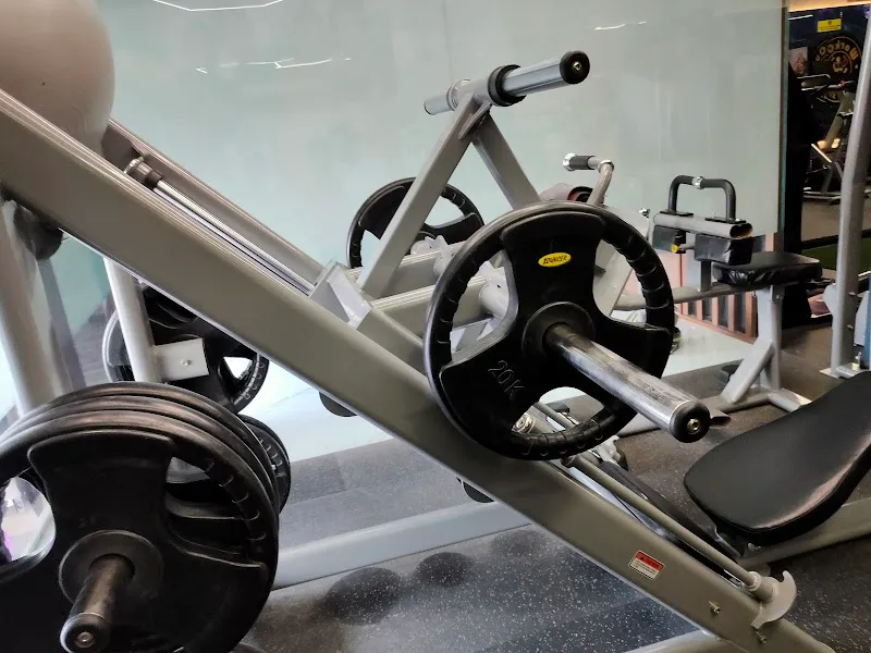 Workout Fitness Studio