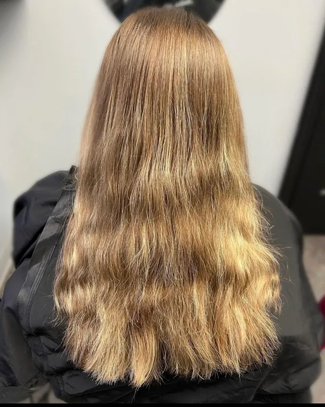 Salon 311