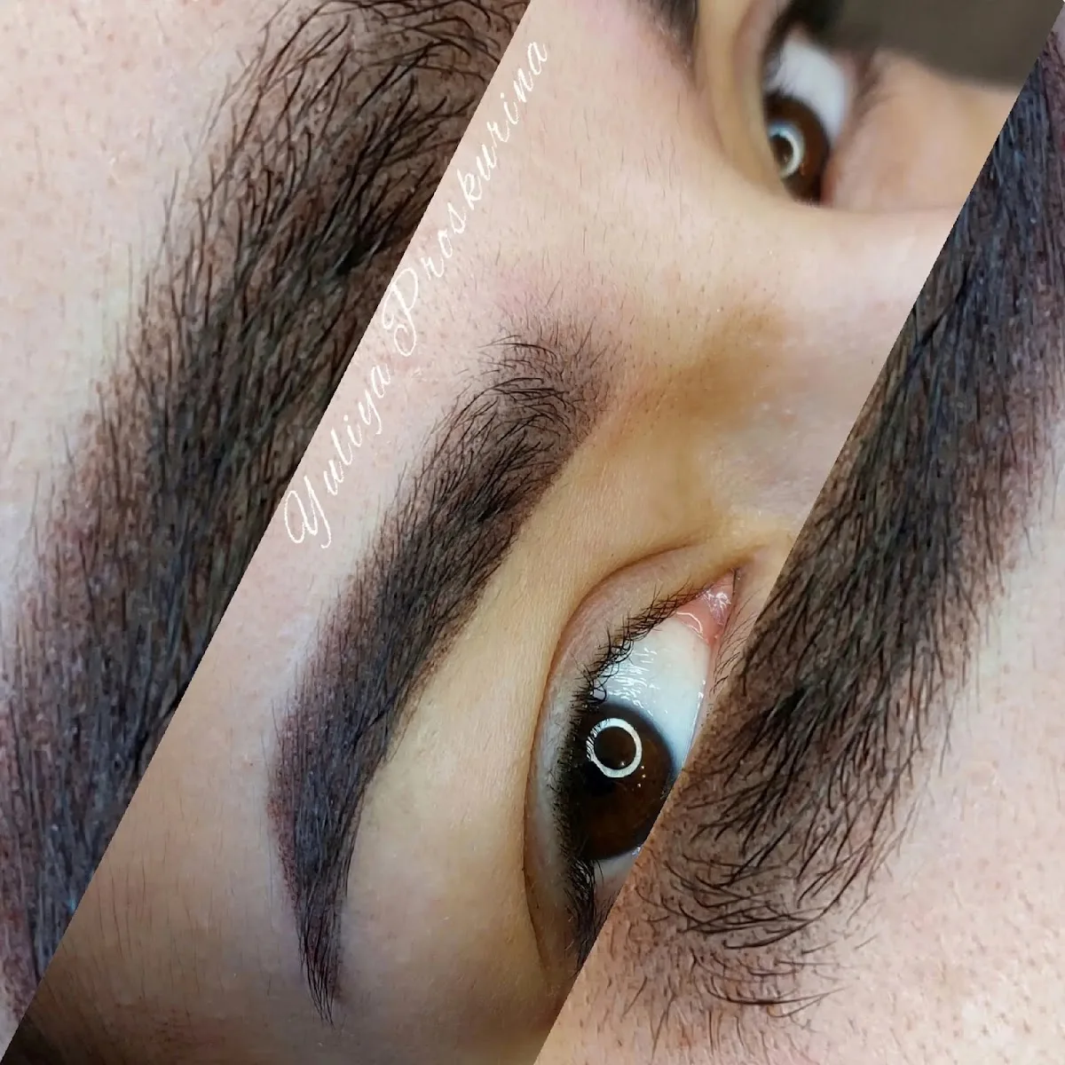 Tatu Studiya