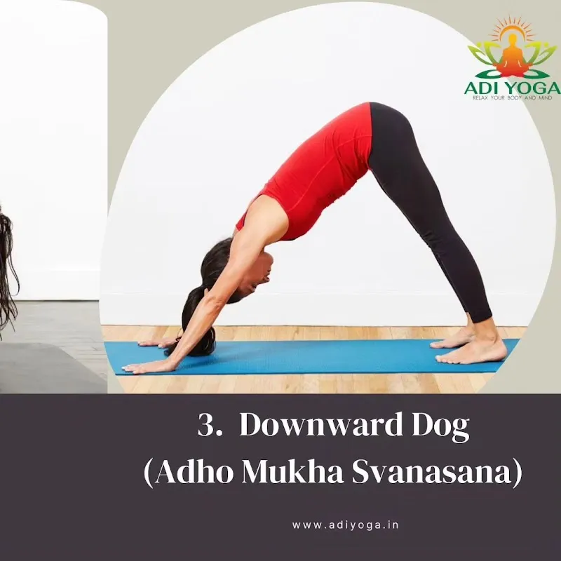Adi Yoga - Yoga classes Mumbai | Yoga at Home