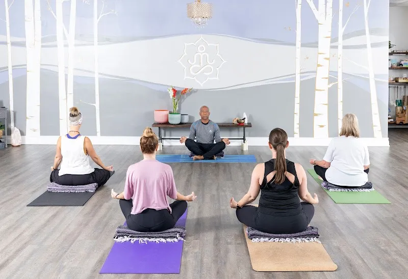 Serendipity Yoga and Wellness