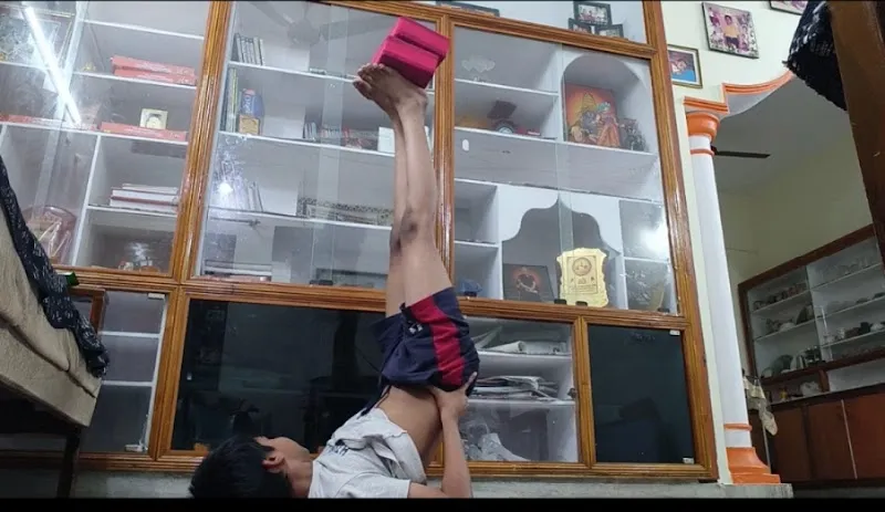 SAILU YOGA INSTITUTE