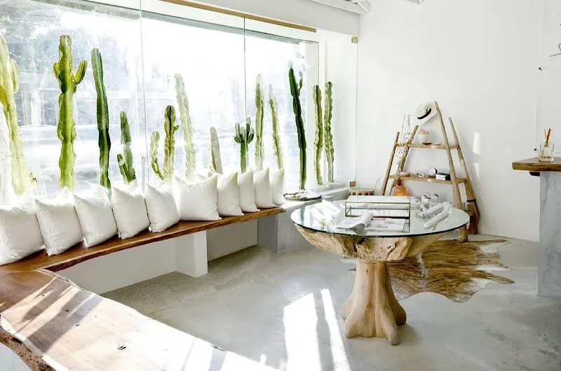 The NOW Massage Plantation