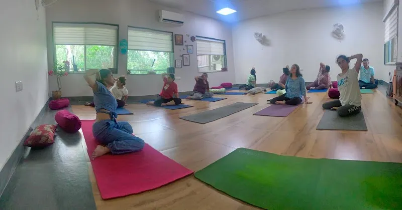 Holistic body