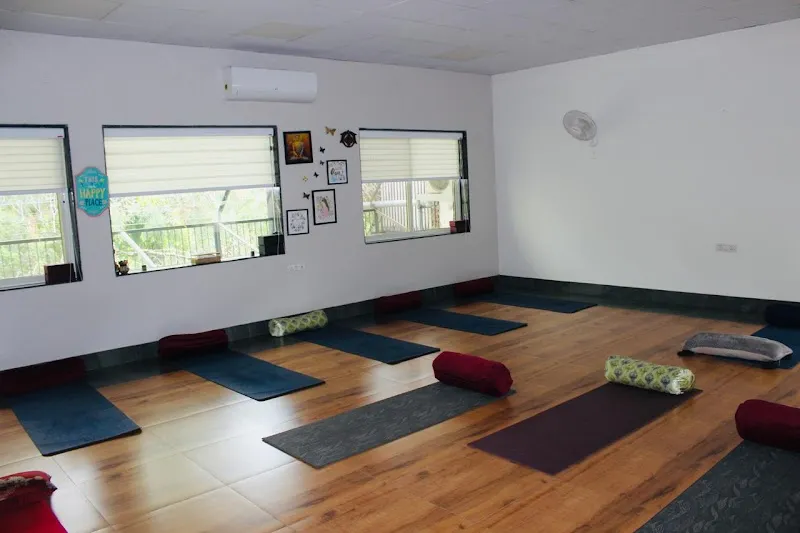 Holistic body