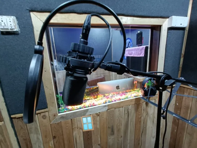 MS RECORDING STUDIO