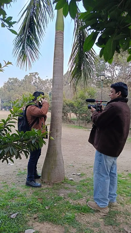 Red Smoke Films