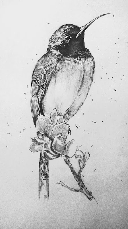 pencil arts