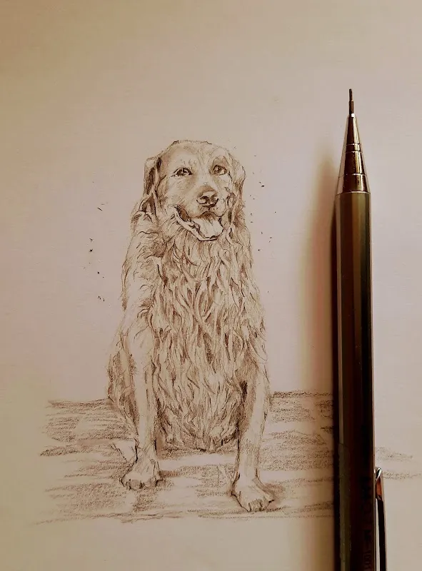 pencil arts