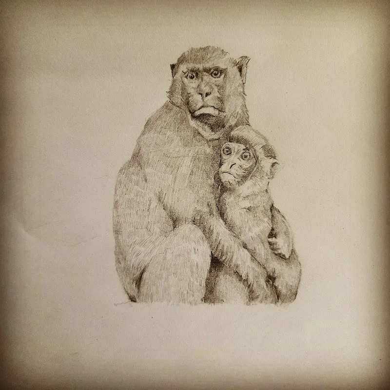 pencil arts