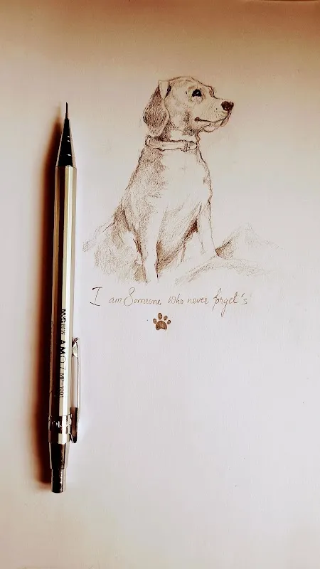 pencil arts