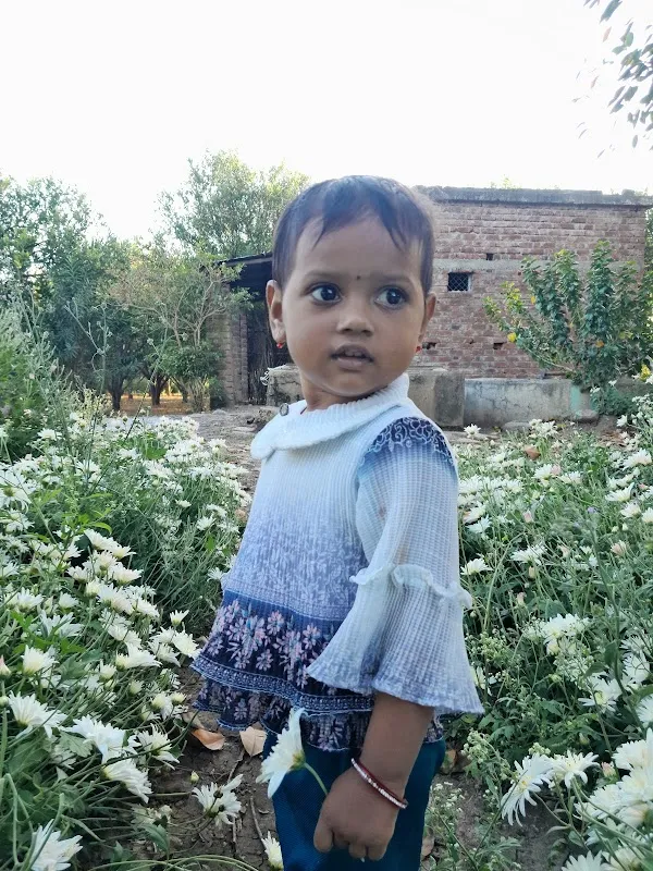 Suneel Jamunkar Raj