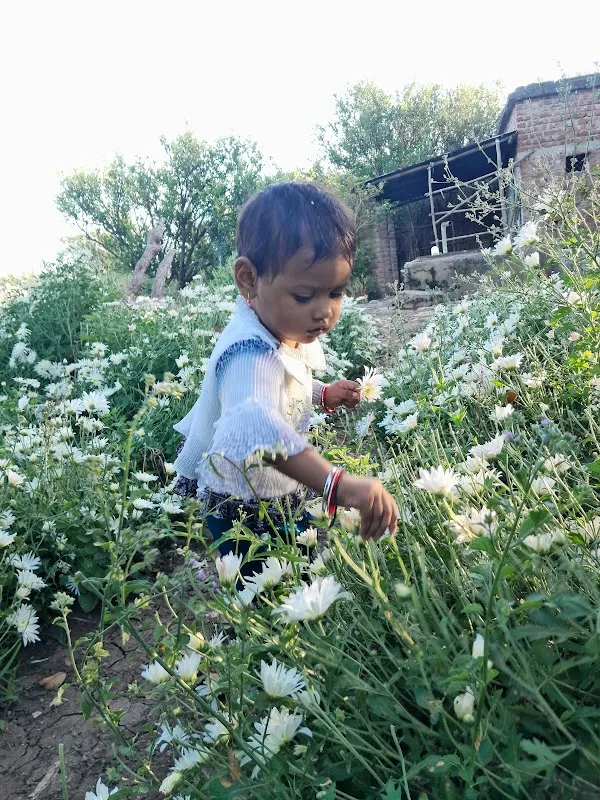 Suneel Jamunkar Raj