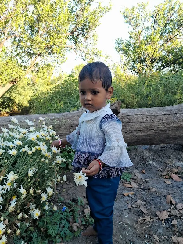 Suneel Jamunkar Raj