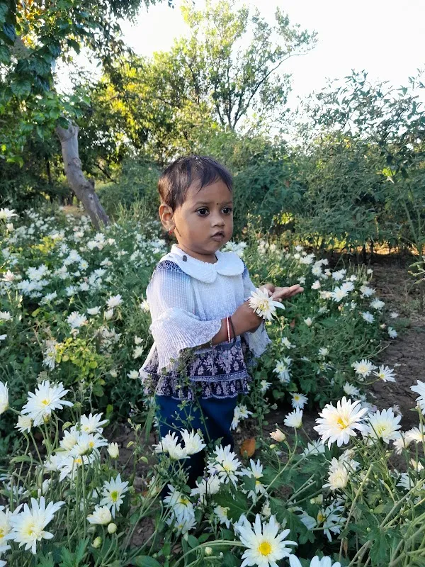 Suneel Jamunkar Raj