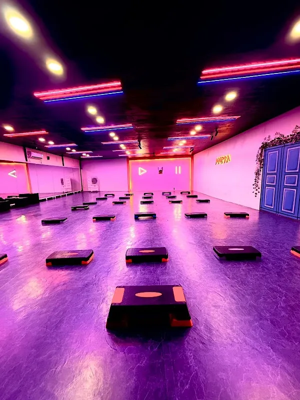 Anipra Dance & Zumba Academy Hinjewadi