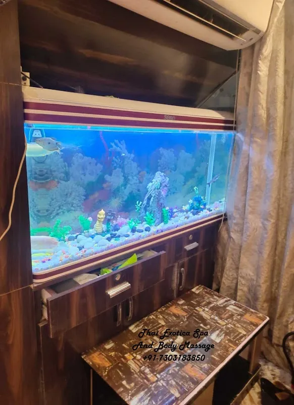 Thai Exotica Spa and Body Massage