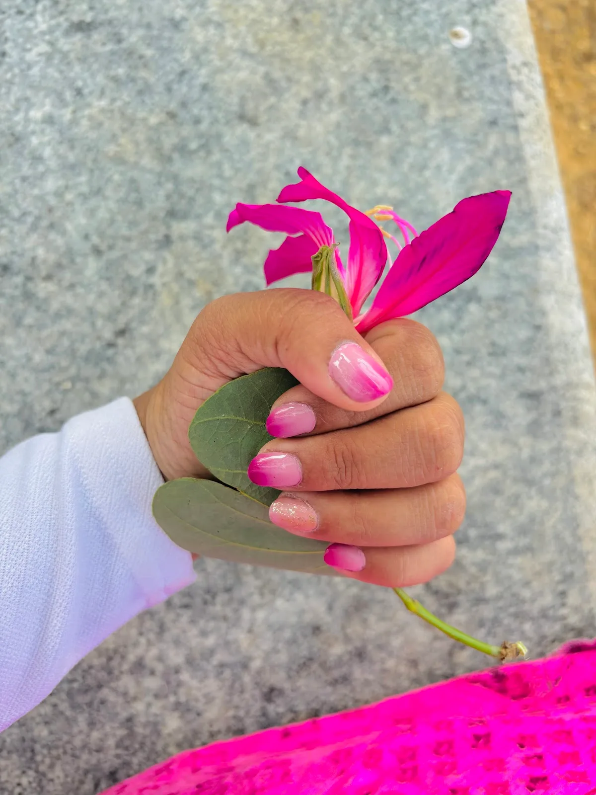 ZIVA BEAUTY SALON & MAKE-UP STUDIO