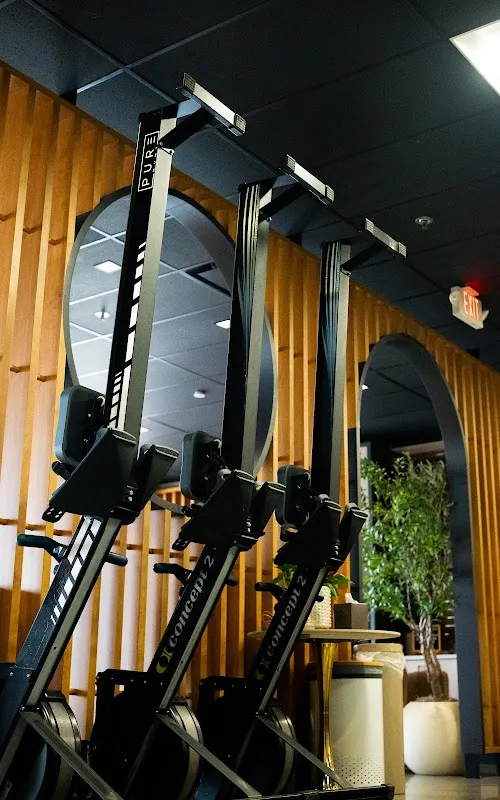 IronBody Studios