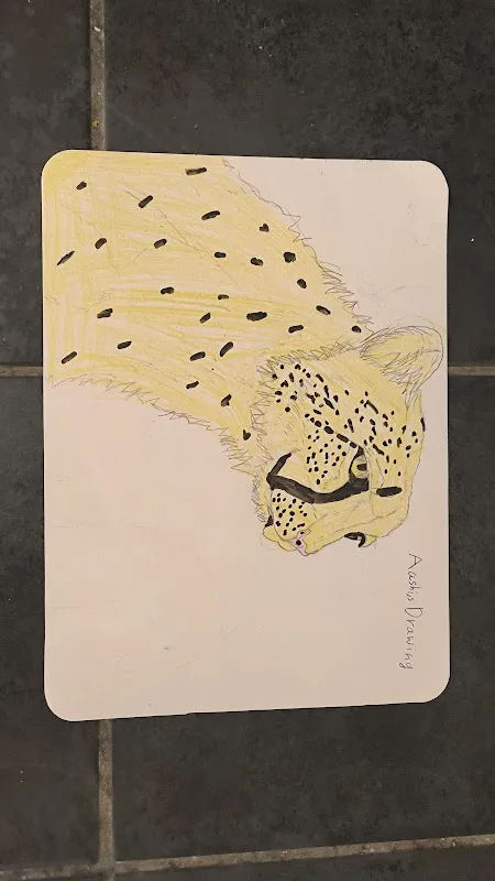 ANUSREE ARTS School Of Fine Arts
