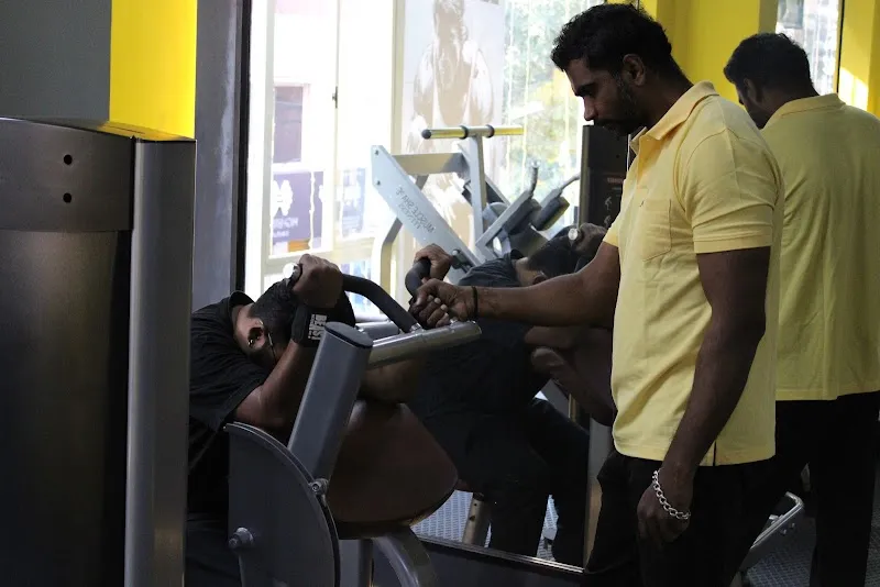 Muscle shape