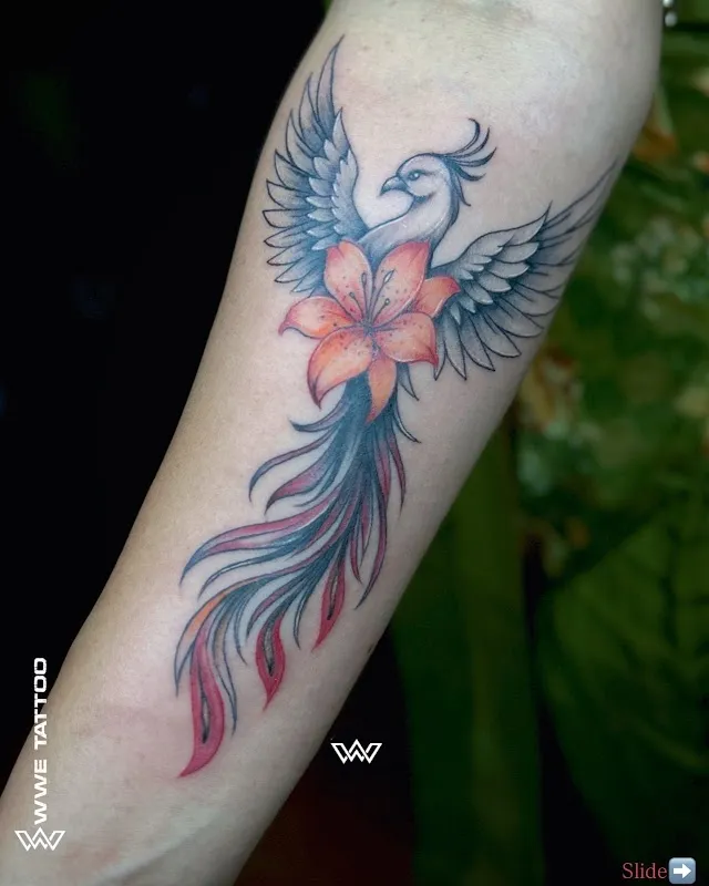 Wwe Tattoo Studio