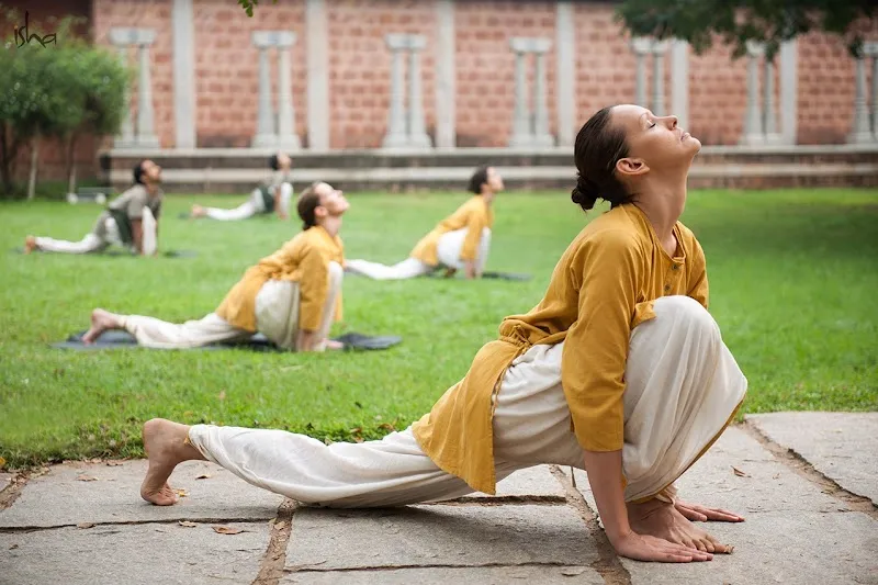Ekaha Classical Hatha Yoga (Isha Hatha Yoga)