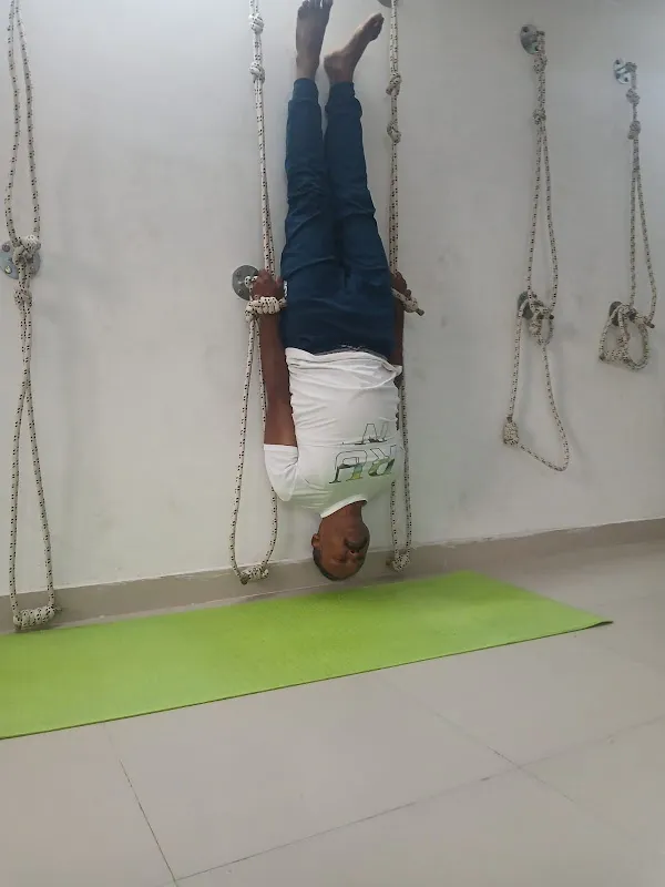 Yoga Natures