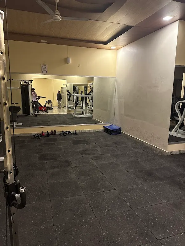 D7 fitness