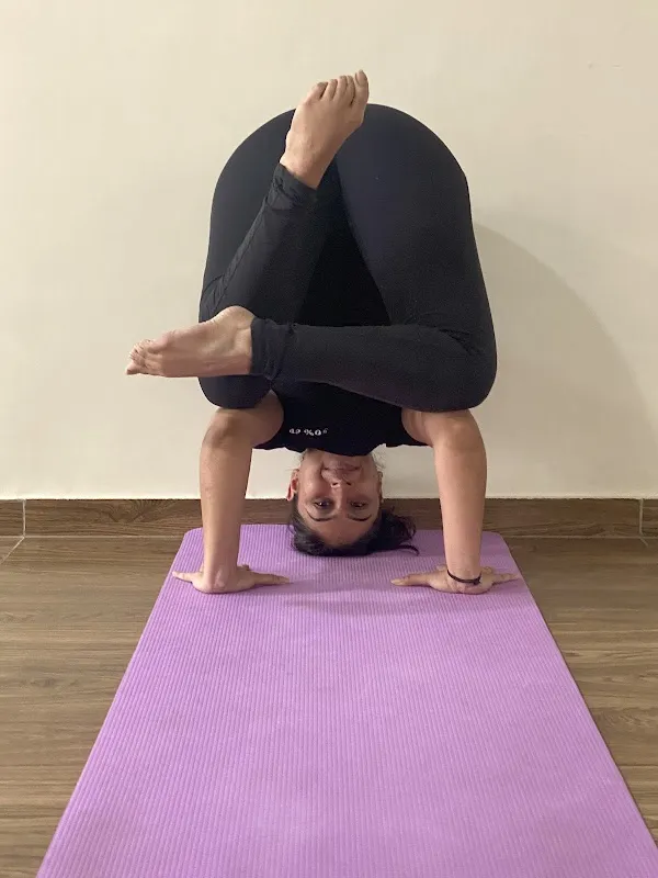 Aura Yoga & Dance Studio Paldi Ahmedabad
