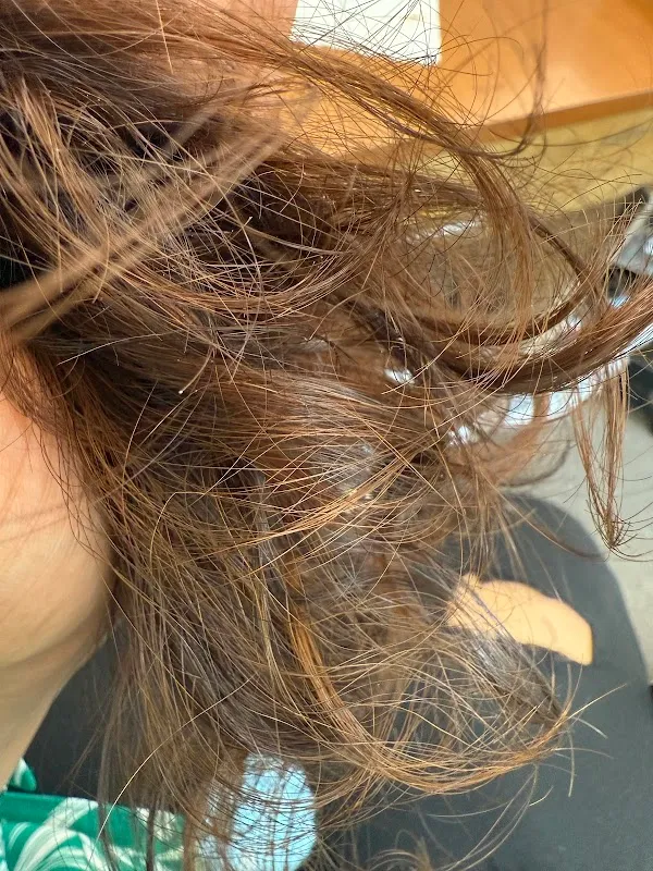 T-Hair Salon