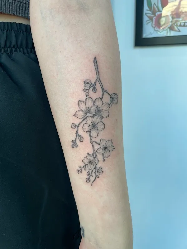 Live Canvas Tattoo Studio North Shore