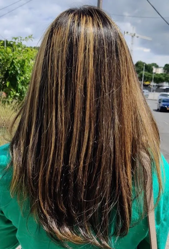 Palisade Hairstylist