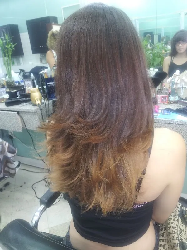 Palisade Hairstylist