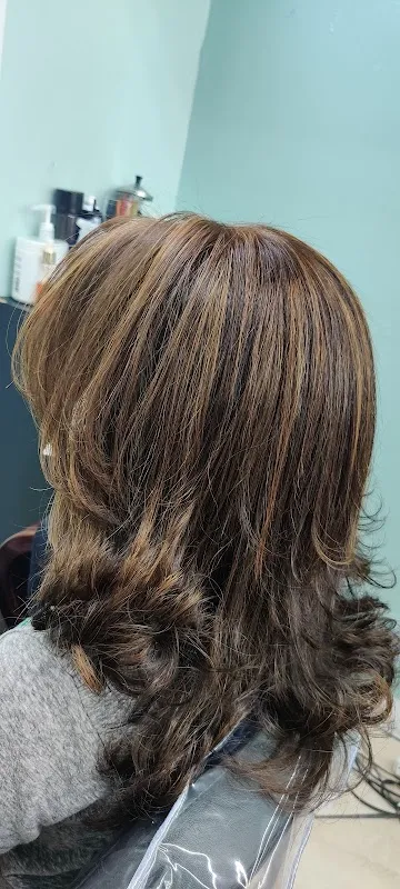 Palisade Hairstylist
