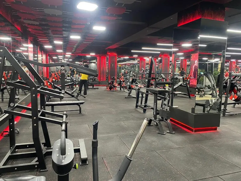 Powerhouse Gym Ludhiana | Best Gym in Ludhiana