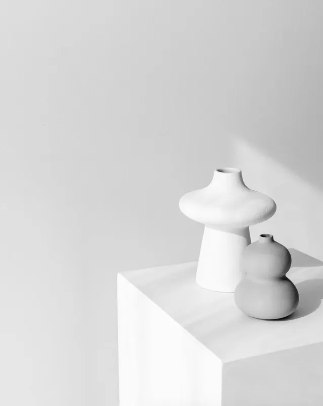 The White Space Studio