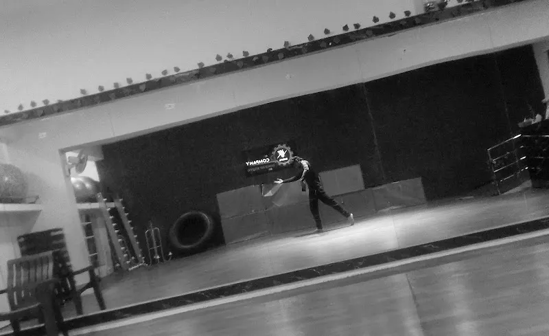 D COMPANY DANCE FIT STUDIO