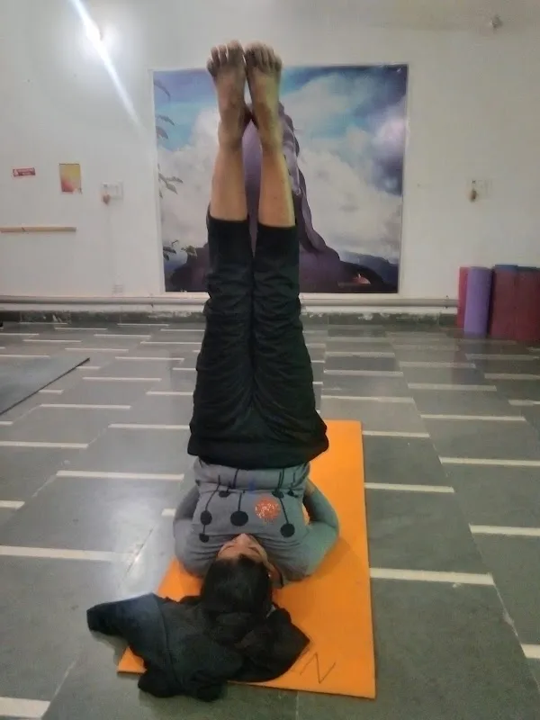 Shiv Yog kender Najafgarh | Best Yoga Kender In Najafgarh