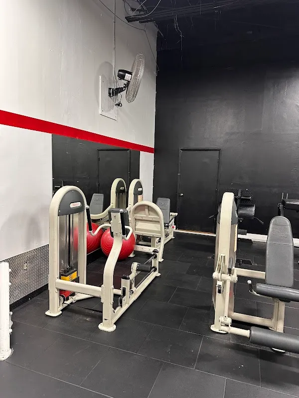 Apex Gym and Training