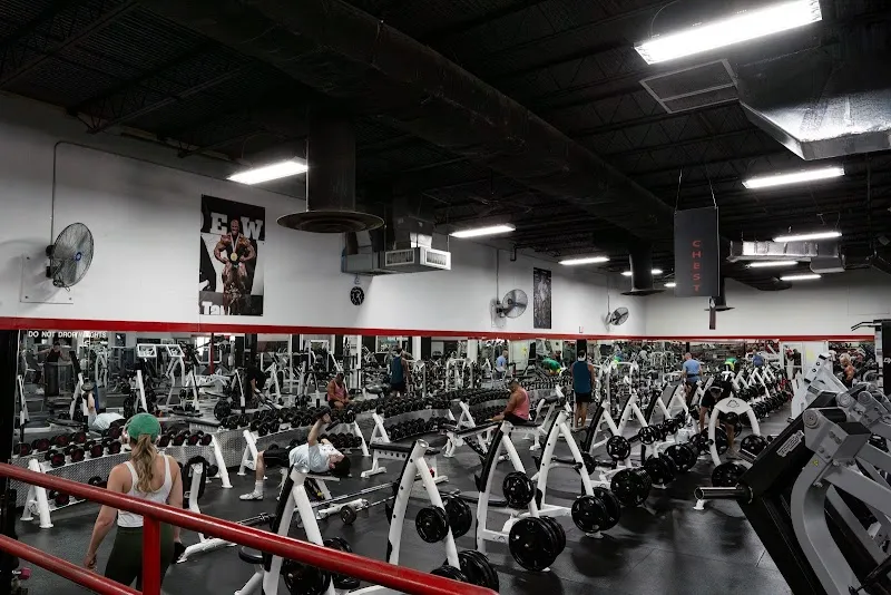 Apex Gym and Training